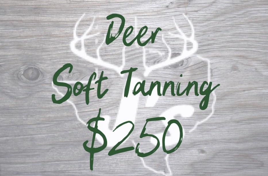 Deer Soft Tanning